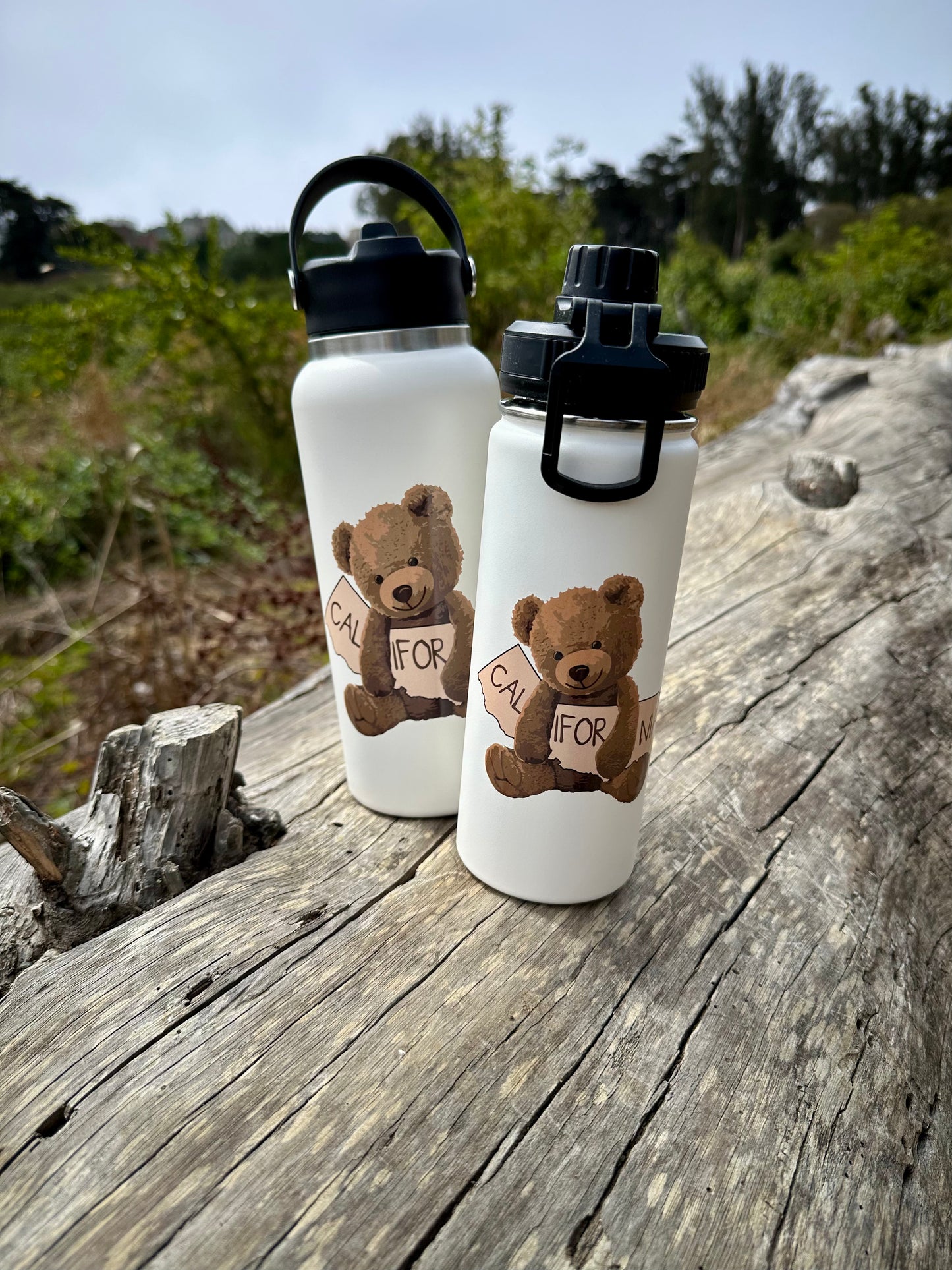 Teddy State Water Bottle